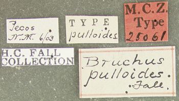 Media type: image;   Entomology 25061 Aspect: labels